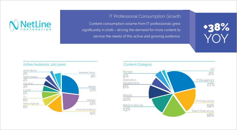 2017 IT Content Consumption_NetLine Corporation