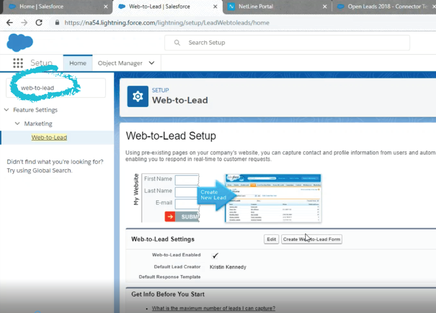 Screenshot-SFDC Form Generator for Demo of Connecting to NetLine Portal