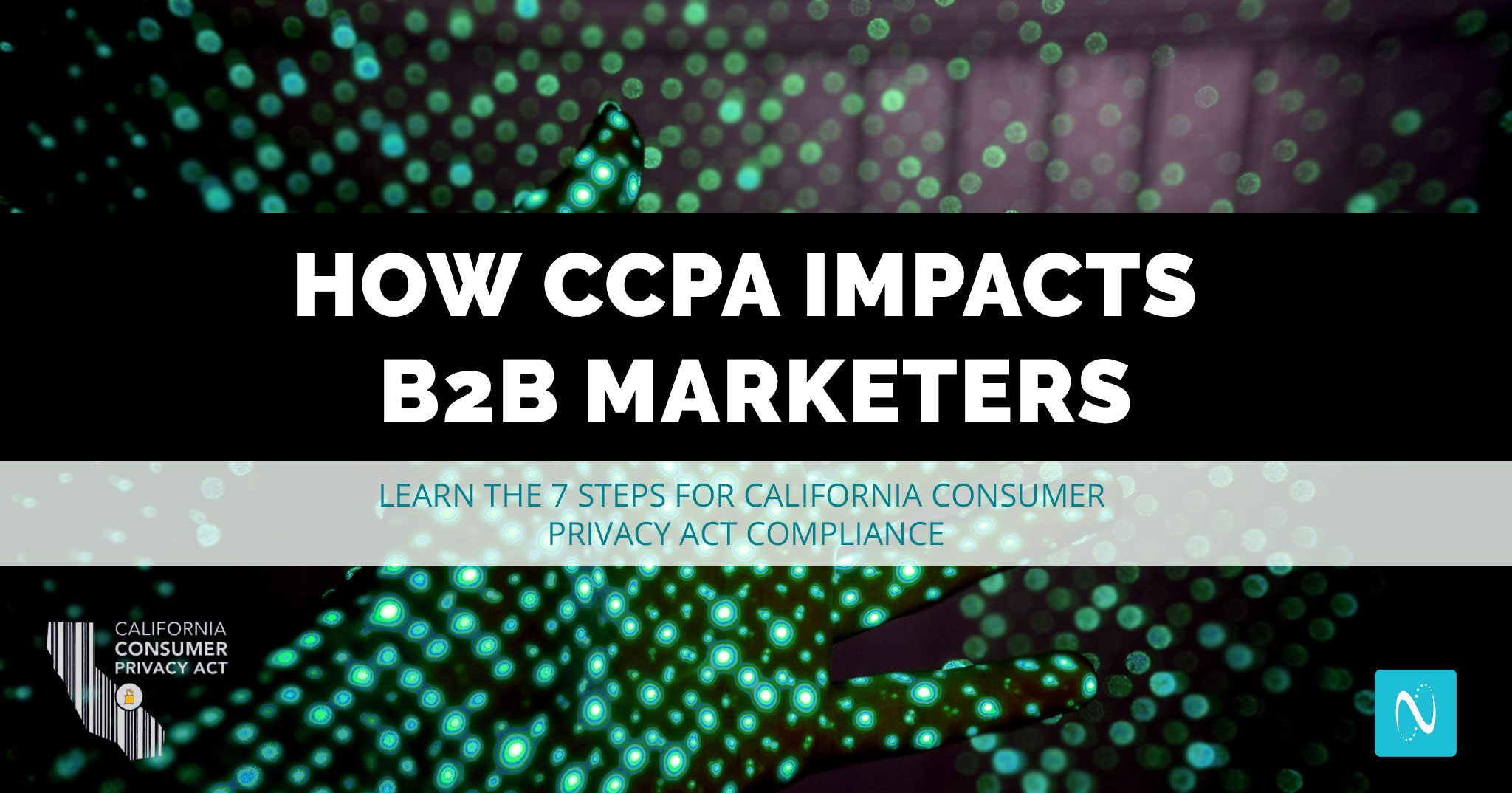 CCPA could impact your B2B business. Learn how and take these 7 steps to become compliant.